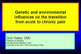 Genetic and environmental influences on the transition from acute to chronic pain PowerPoint PPT Presentation