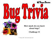 How much do you know about bugs