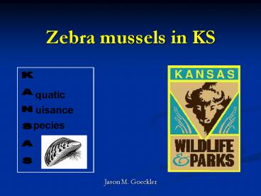 Zebra mussels in KS