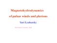 Magnetohydrodynamics PowerPoint PPT Presentation
