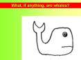 What, if anything, are whales PowerPoint PPT Presentation