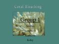 Coral Bleaching PowerPoint PPT Presentation