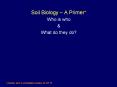 Soil Biology  PowerPoint PPT Presentation