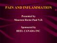 PAIN AND INFLAMMATION PowerPoint PPT Presentation