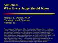 Addiction: What Every Judge Should Know PowerPoint PPT Presentation