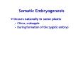 Somatic Embryogenesis PowerPoint PPT Presentation