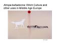 Atropa belladonna: Witch Culture and other uses in Middle Age Europe PowerPoint PPT Presentation