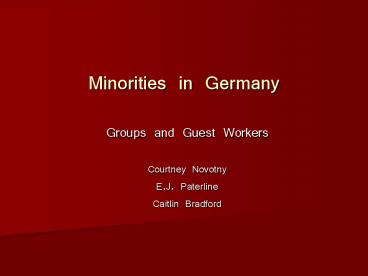 Minorities in Germany