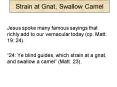 Strain at Gnat, Swallow Camel PowerPoint PPT Presentation