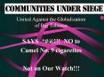 United Against the Globalization of Big Tobacco PowerPoint PPT Presentation