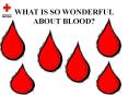 WHAT IS SO WONDERFUL ABOUT BLOOD? PowerPoint PPT Presentation