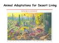 Animal Adaptations for Desert Living PowerPoint PPT Presentation