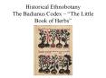 Historical Ethnobotany The Badianus Codex The Little Book of Herbs PowerPoint PPT Presentation