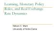 Learning, Monetary Policy Rules, and Real Exchange Rate Dynamics PowerPoint PPT Presentation