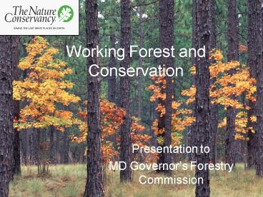 Working Forest and Conservation