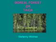 BOREAL FOREST OR TAIGA PowerPoint PPT Presentation