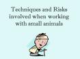 Techniques and Risks involved when working with small animals PowerPoint PPT Presentation