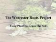 The Worcester Roots Project PowerPoint PPT Presentation