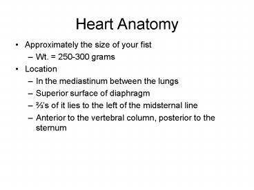 Heart Anatomy