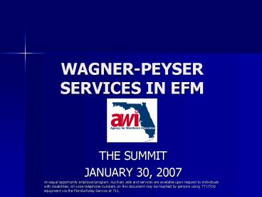 WAGNERPEYSER SERVICES IN EFM