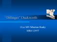 Dillinger Duckworth PowerPoint PPT Presentation