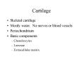 Cartilage PowerPoint PPT Presentation