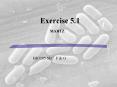 Exercise 5.1 MARTZ PowerPoint PPT Presentation