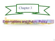 Externalities and Public Policy