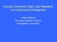 Human Embryonic Stem Cell Research: An Intercultural Perspective PowerPoint PPT Presentation