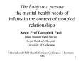 The baby as a person the mental health needs of infants in the context of troubled relationships PowerPoint PPT Presentation