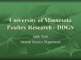 University of Minnesota Poultry Research DDGS PowerPoint PPT Presentation