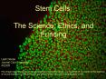 Stem Cells: PowerPoint PPT Presentation