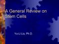 A General Review on Stem Cells PowerPoint PPT Presentation