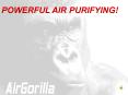 The AirGorilla PowerPoint PPT Presentation