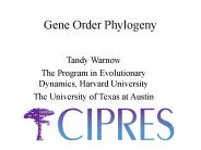 Gene Order Phylogeny