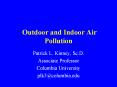 Outdoor and Indoor Air Pollution PowerPoint PPT Presentation