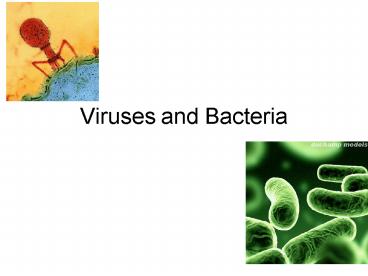 Viruses and Bacteria
