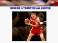 REEBOK INTERNATIONAL LIMITED PowerPoint PPT Presentation