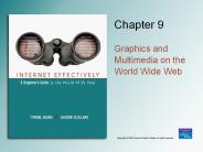 Graphics and Multimedia on the World Wide Web