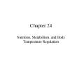 Nutrition, Metabolism, and Body Temperature Regulation PowerPoint PPT Presentation