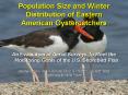 Coastal Bird Conservation Network PowerPoint PPT Presentation