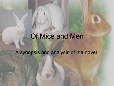 Of Mice and Men