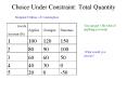 Choice Under Constraint: Total Quantity PowerPoint PPT Presentation