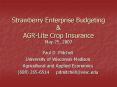 Strawberry Enterprise Budgeting PowerPoint PPT Presentation