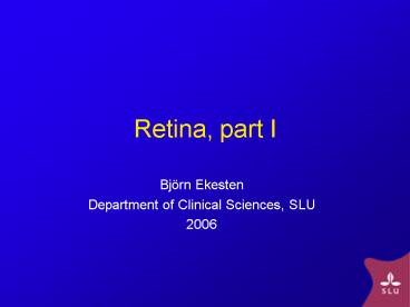 Retina, part I