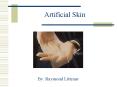 Artificial Skin PowerPoint PPT Presentation