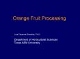 Orange Fruit Processing PowerPoint PPT Presentation