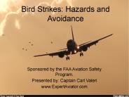Bird Strikes: Hazards and Avoidance