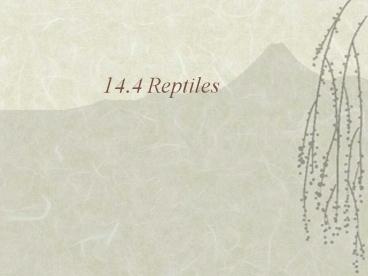 14.4 Reptiles