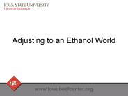 Adjusting%20to%20an%20Ethanol%20World
